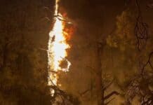 Pocket Fire changes Sedona’s tourism focus