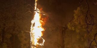 Pocket Fire changes Sedona’s tourism focus