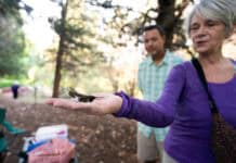 Birders bond over banding