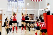 volleyball-10-3small.jpg