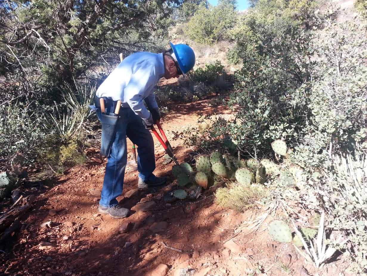 Gene_Rector_trimming_Prickly_Pear_off_Lizard_Head_Trail_December_2015