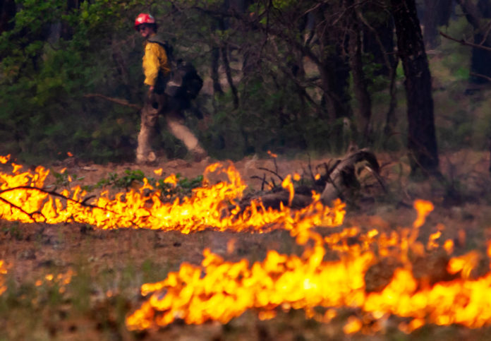 Rafael Fire - Sedona Red Rock News