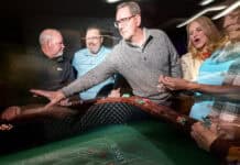 Casino Night fundraiser antes up for 7th year