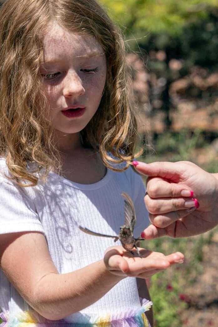 wa- Hummingbird Fest _07-30_13