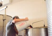 Students sip up wine class, learning viticulture and enology